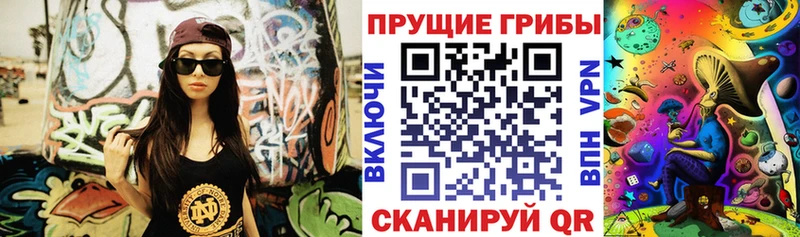 Псилоцибиновые грибы Cubensis  Купить закладки  Новомичуринск 