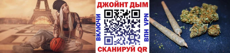 Канабис сатива  Купить где  Новомичуринск 